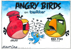 ANGRY BIRDS by Zapiro