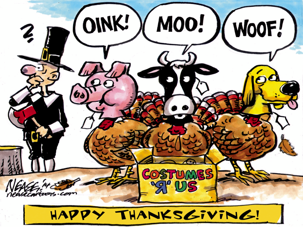 Turkeys