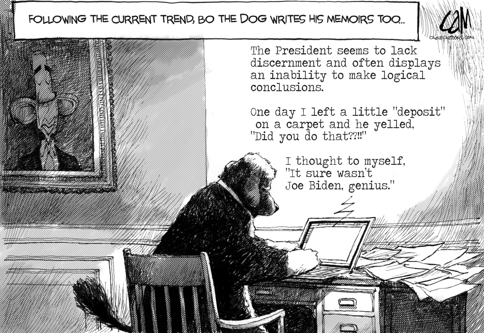 Bo's Memoirs