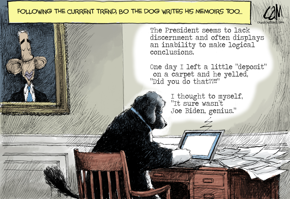 Bo's Memoirs COLOR