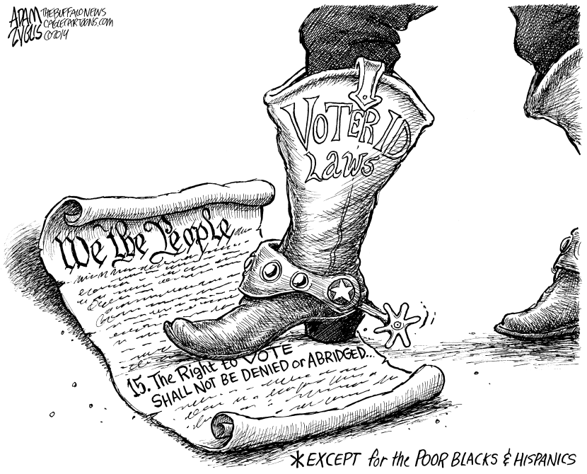 Voter ID Laws