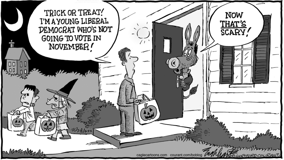 November Elections