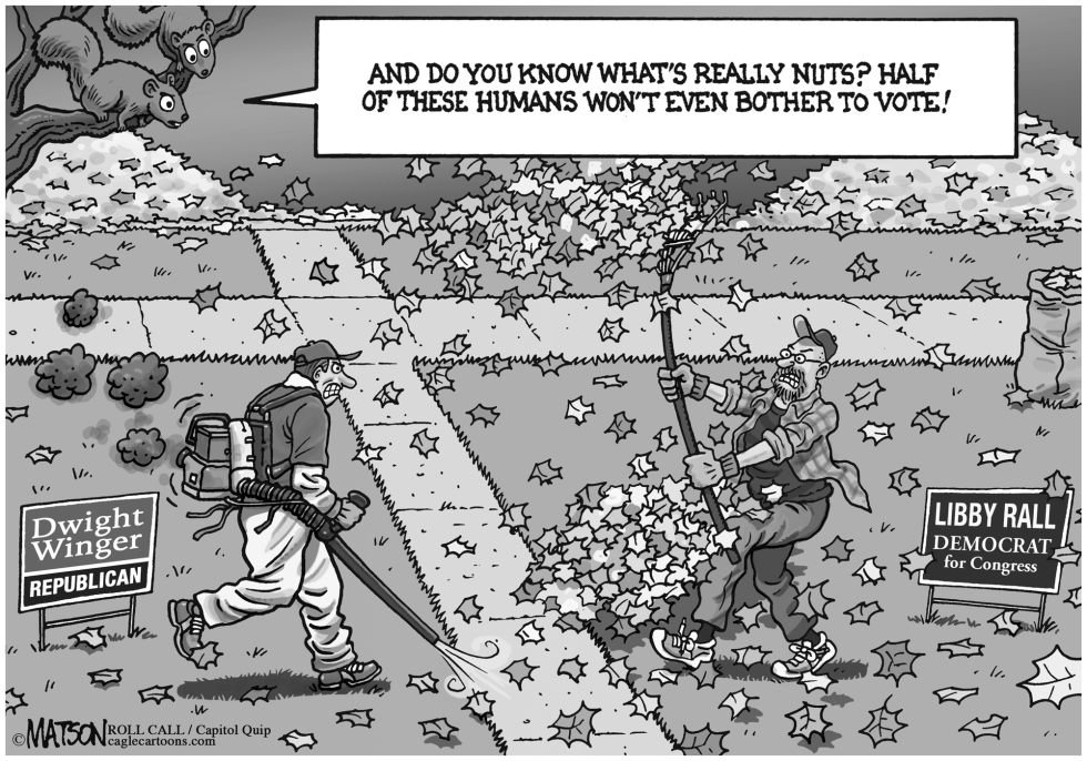 Divided Voters