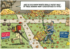 DIVIDED VOTERS by R.J. Matson