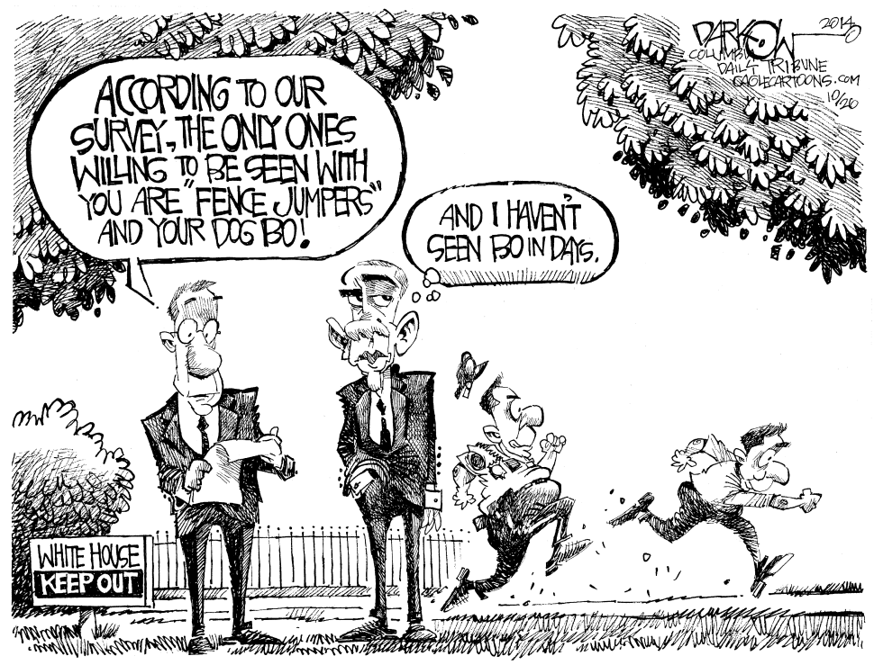 Obama Political Liability