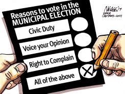 REASONS TO VOTE by Steve Nease