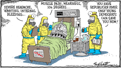 CONTROL OF THE SENATE by Bob Englehart