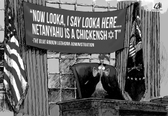 CHICKENSHT by Cam Cardow
