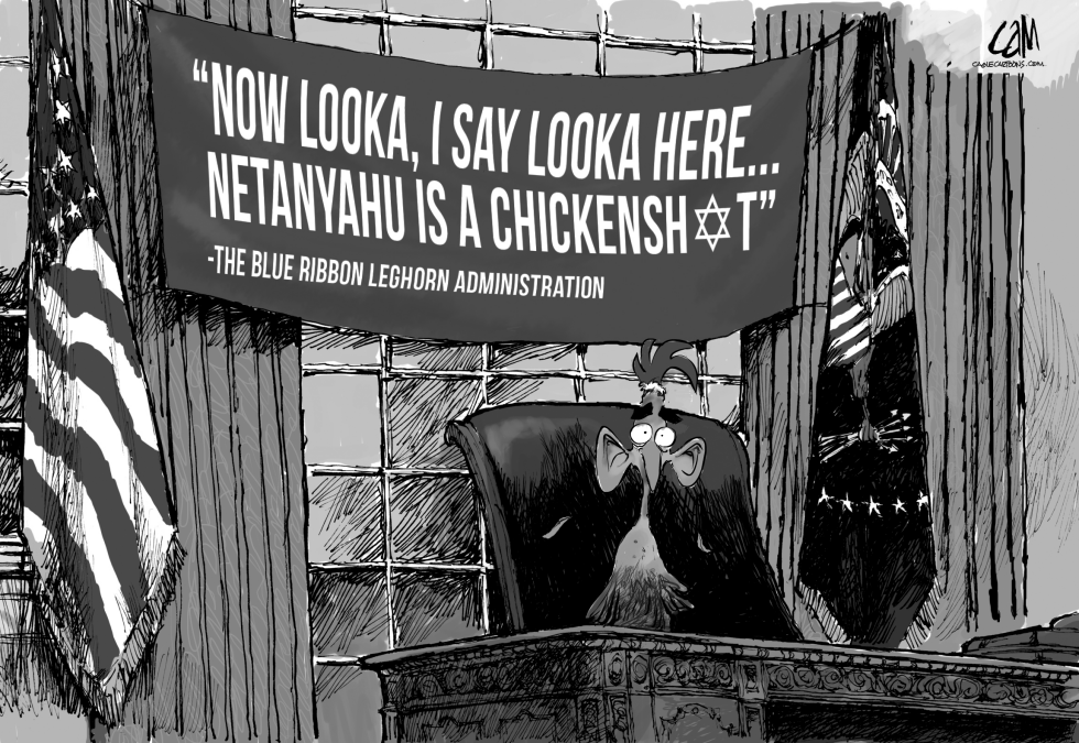 Chickensht