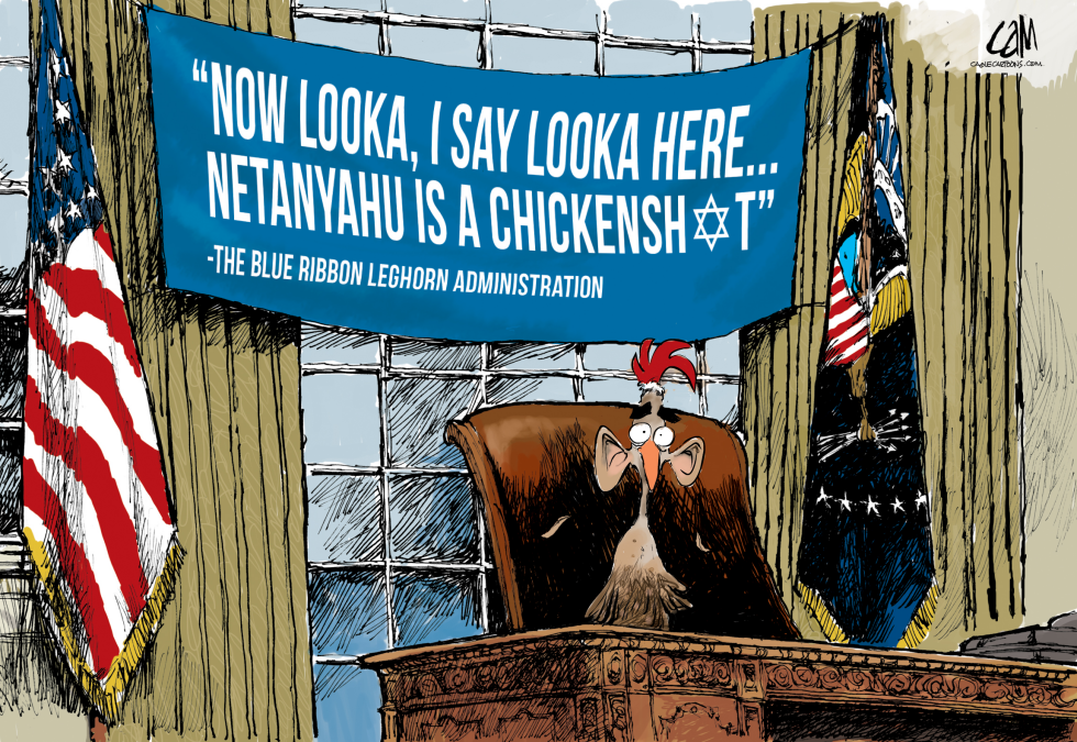 Chickensht COLOR