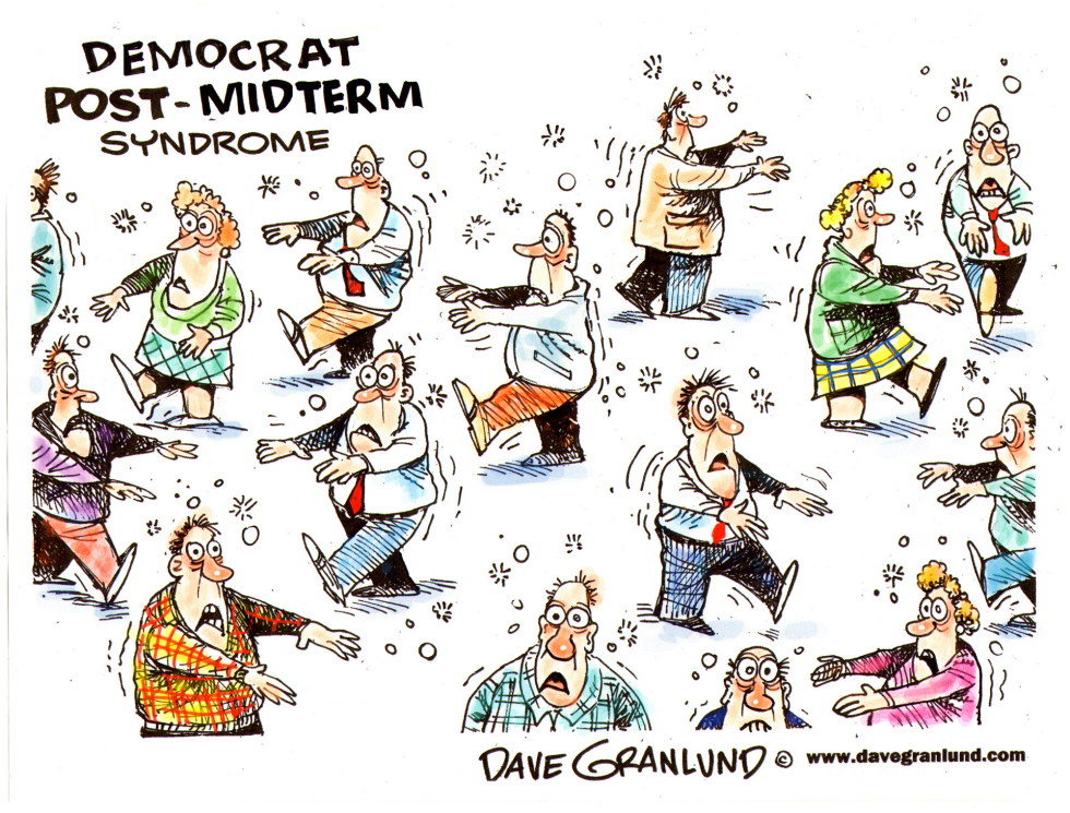 Democrats after Midterms