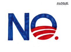 MIDTERM ELECTION RESULTS  by Jimmy Margulies