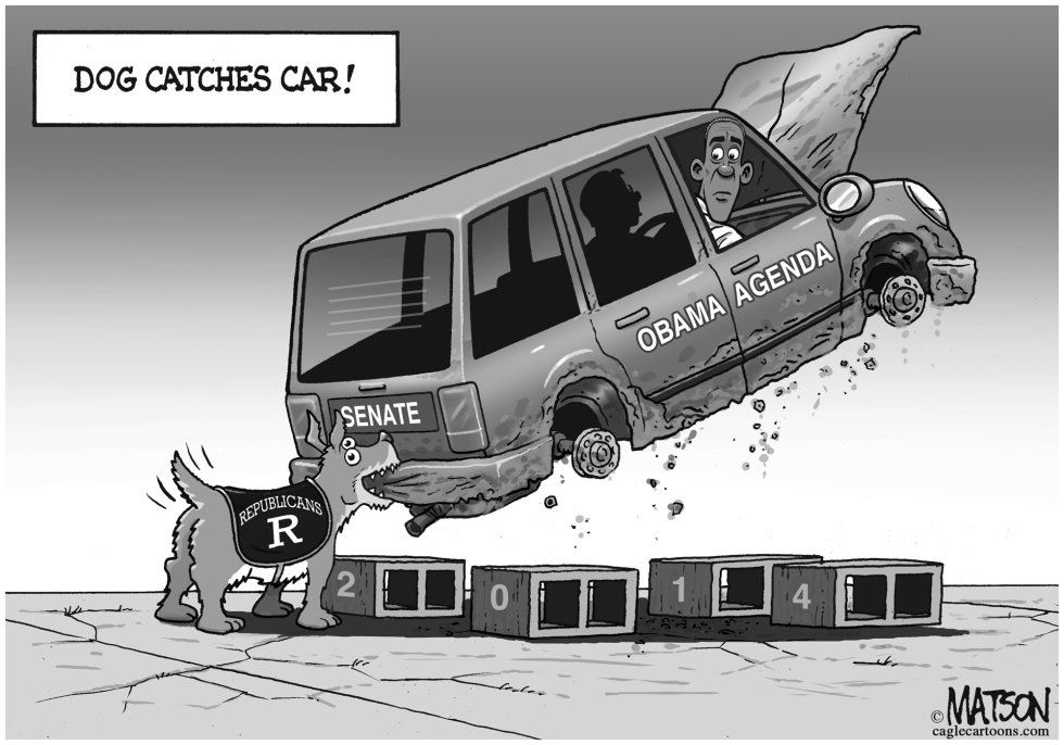 Republicans Capture Senate