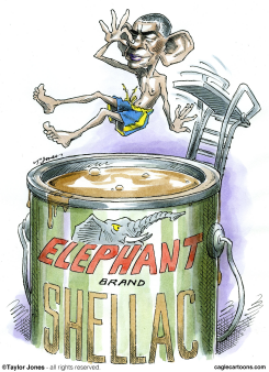 OBAMA TAKES A BATH - by Taylor Jones