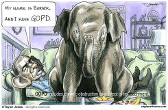 WHAT AILS OBAMA - by Taylor Jones