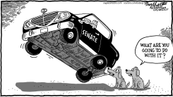 GOP CONTROLS SENATE by Bob Englehart