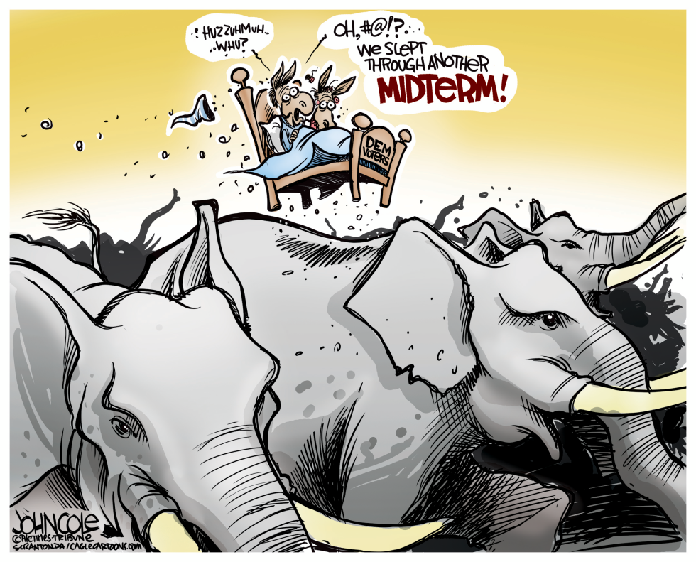 Slumbering Democrats COLOR