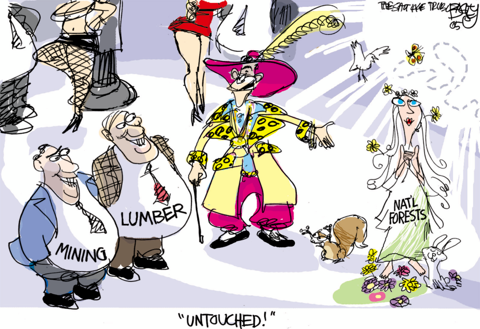  BUSH PIMPIN VIRGIN FORESTS by Pat Bagley