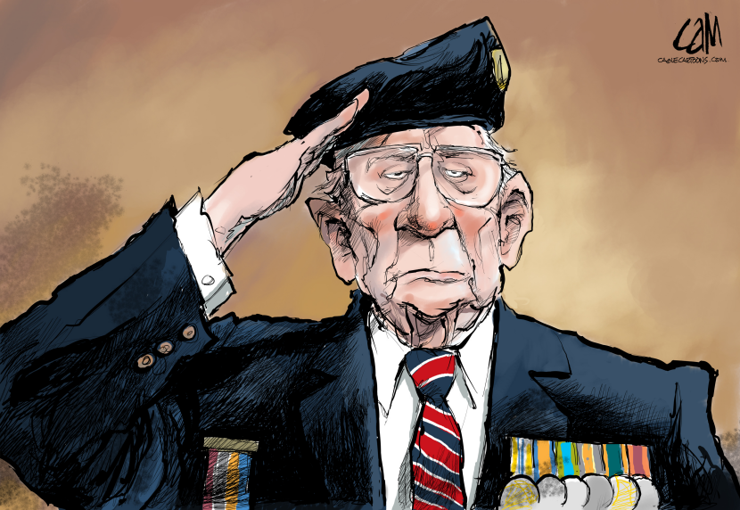Veterans Day Remembrance COLOR