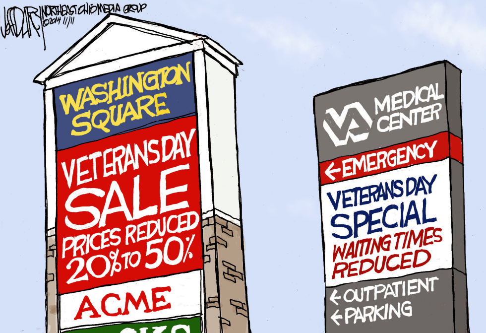 Veterans Day and VA reforms