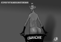 STUPIDY OF THE AMERICA VOTER by Cam Cardow
