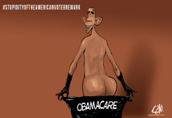 STUPIDY OF THE AMERICA VOTER  by Cam Cardow