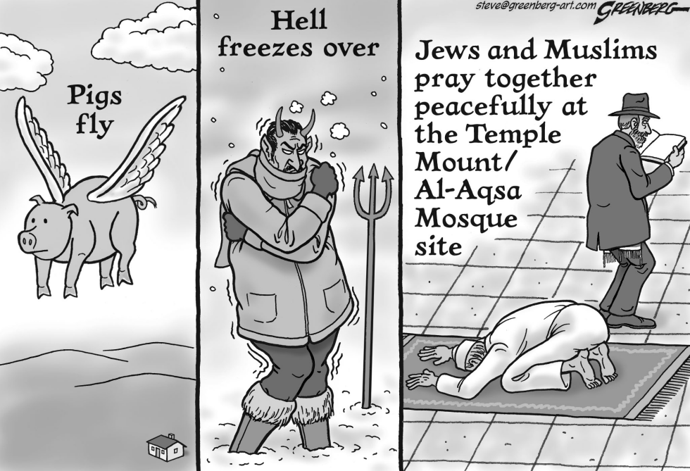 Temple Mount peace bw