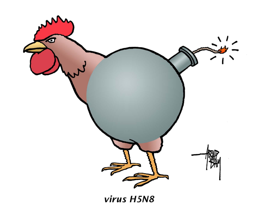 virus H5N8