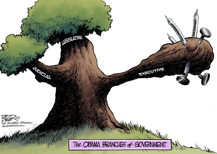 Branches of Government COLOR