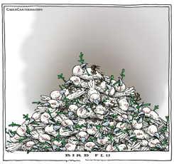 BIRD FLU by Joep Bertrams