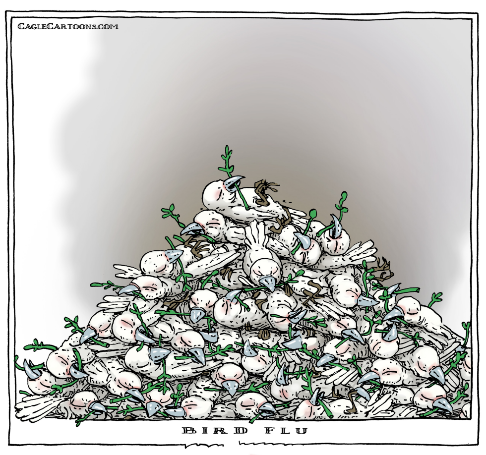 bird flu