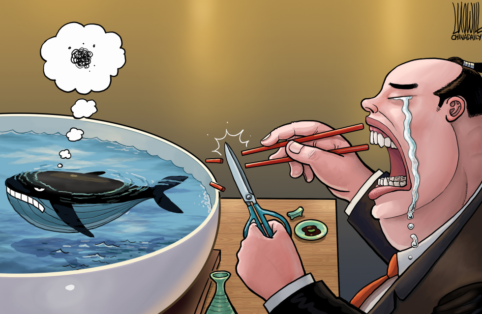 Japan plans to reduce the amount of whaling
