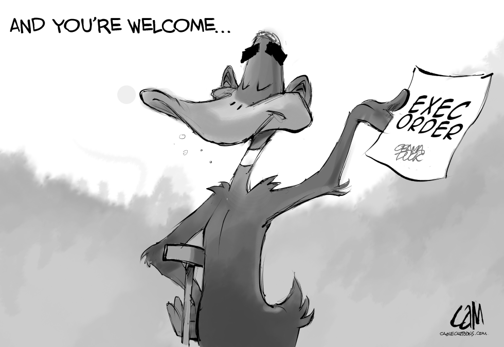 Obama Duck