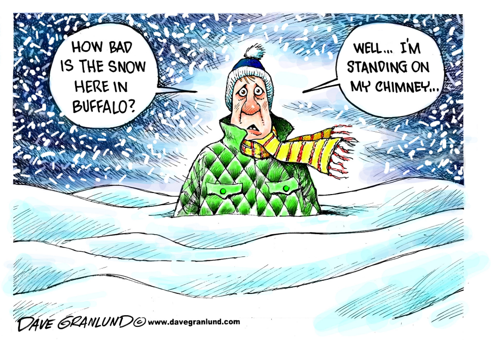  BUFFALO SNOW by Dave Granlund