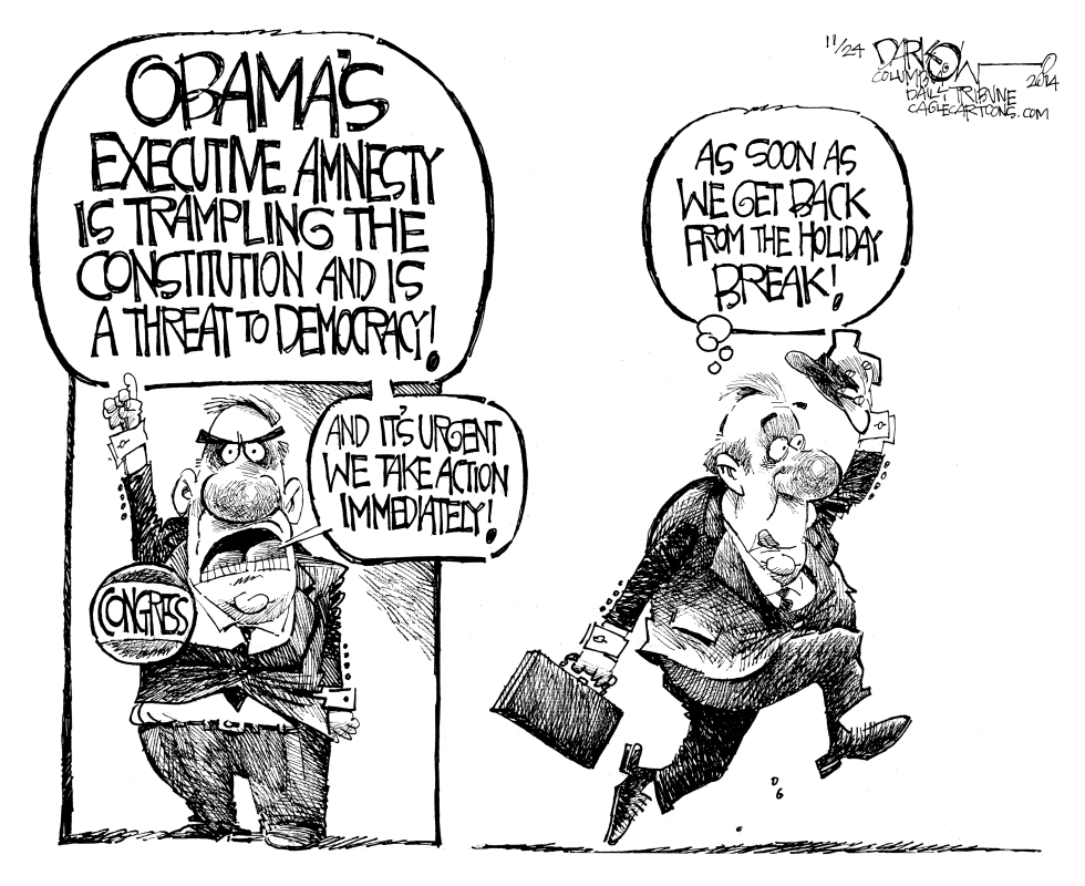 Executive Amnesty