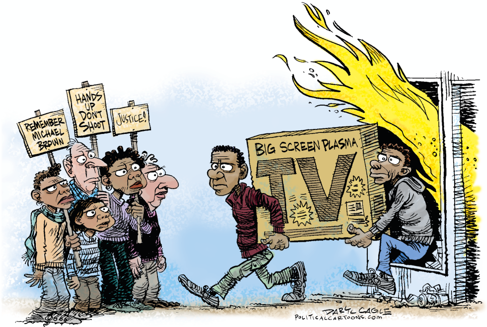  PROTESTERS AND OPPORTUNISTS by Daryl Cagle