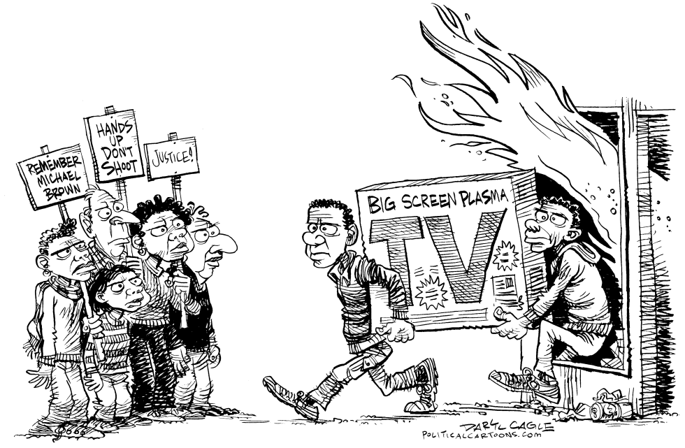 Protesters and Opportunists