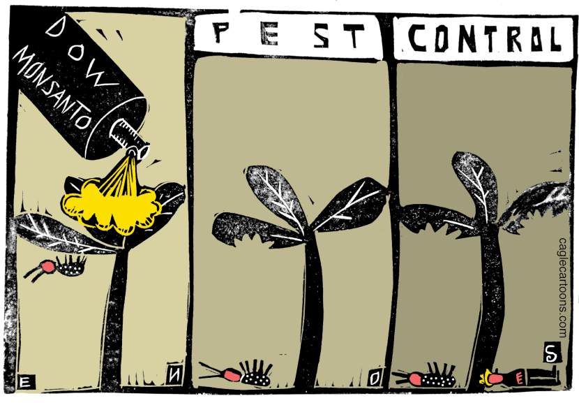 Pest Control COLOR