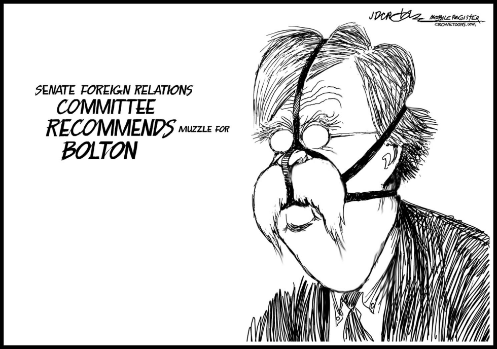 Bolton muzzle