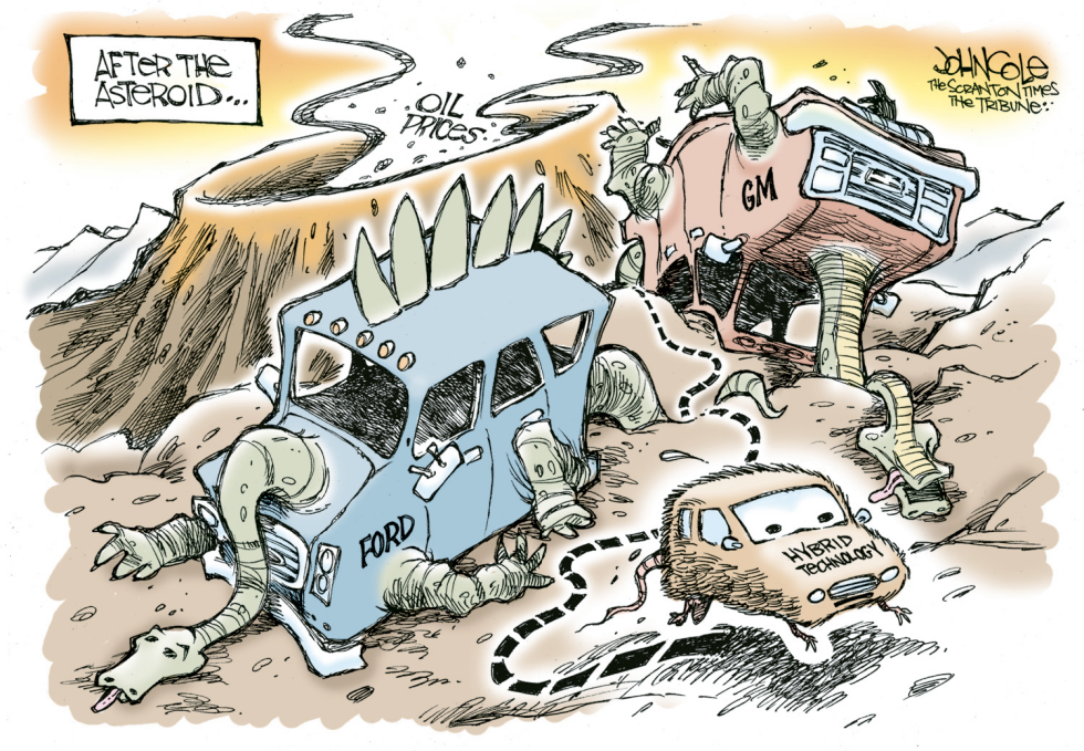 The next extinction