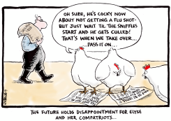 FLU AND AVIAN FLU by Ingrid Rice