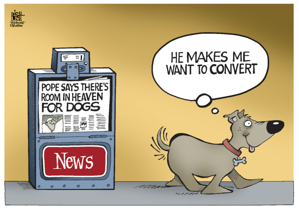 DOGS IN HEAVEN, COLOR