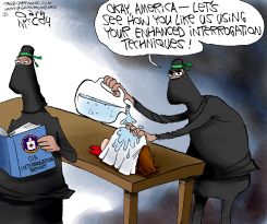 ISIS' ENHANCED INTERROGATION  by Gary McCoy