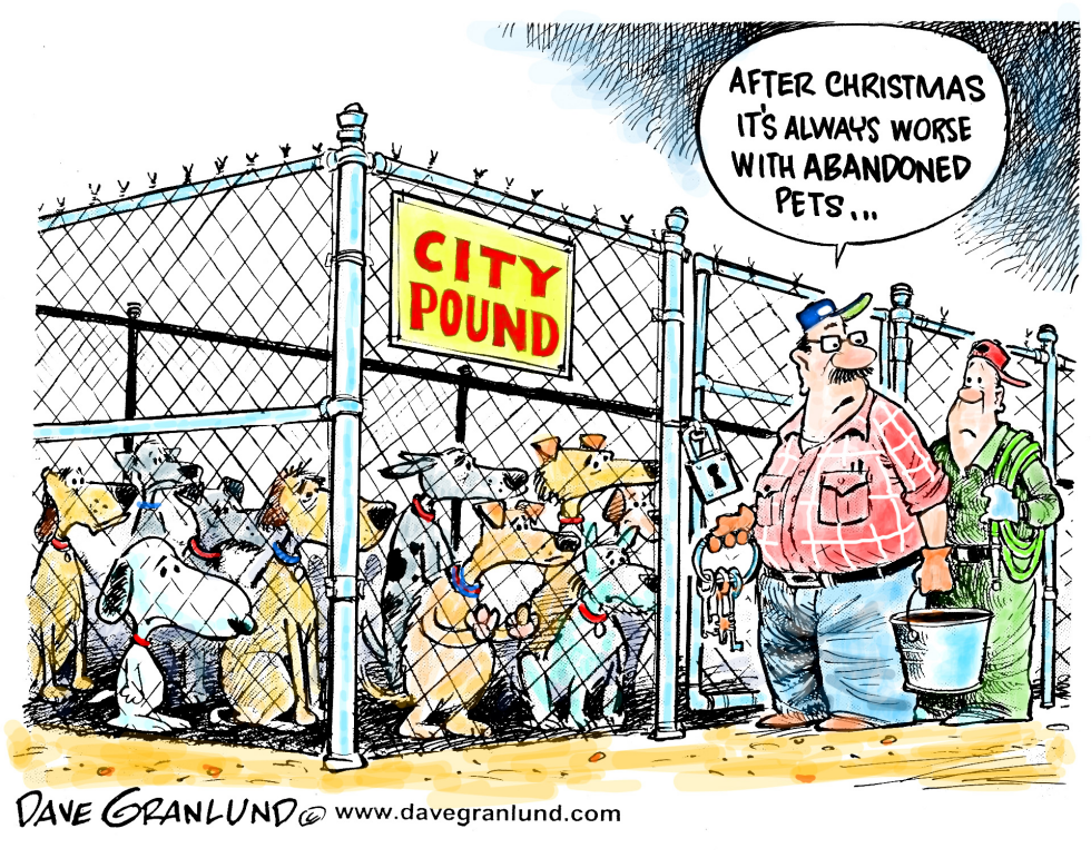  CHRISTMAS AND ABANDONED PETS by Dave Granlund