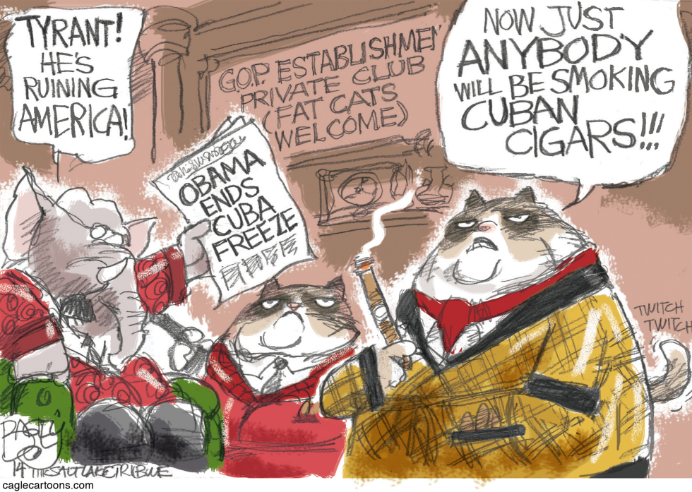 Grumpy Fat Cats