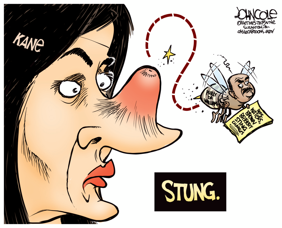 LOCAL PA -- Kane gets stung COLOR
