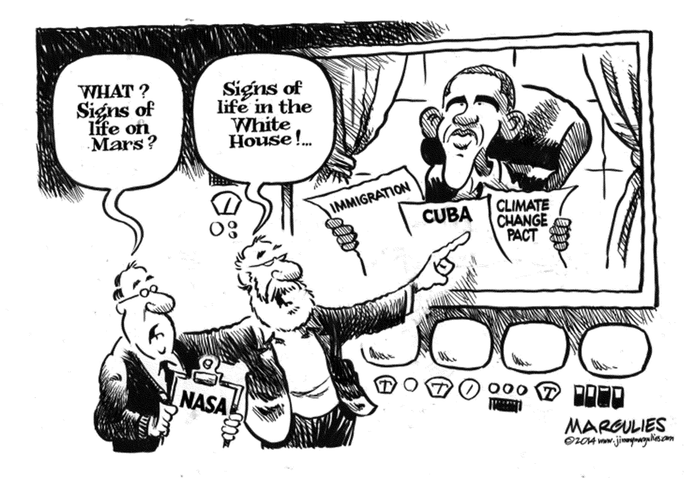 Obama Post-Midterm election activity