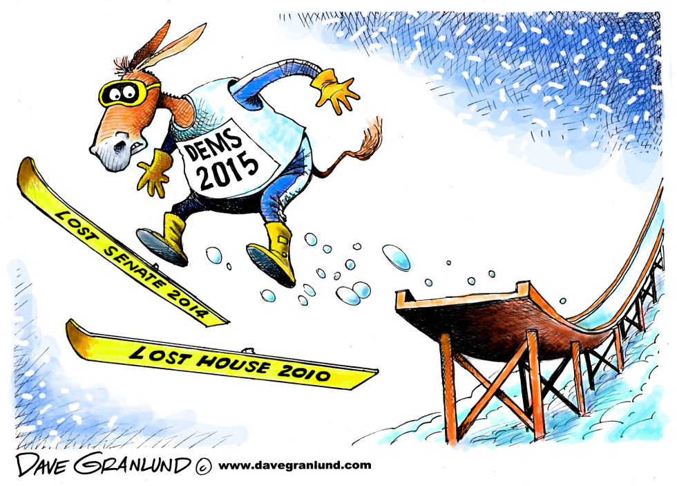 Democrats in 2015