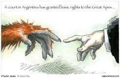 JUSTICE FOR ORANGUTANS -  by Taylor Jones