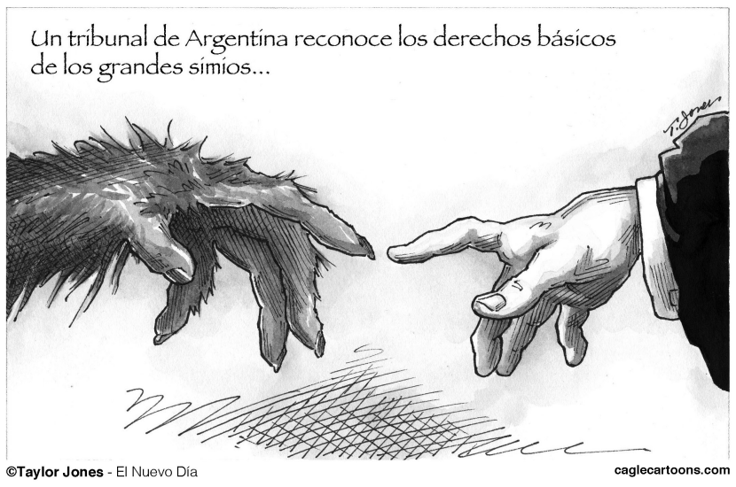 Justicia para los orangutanes